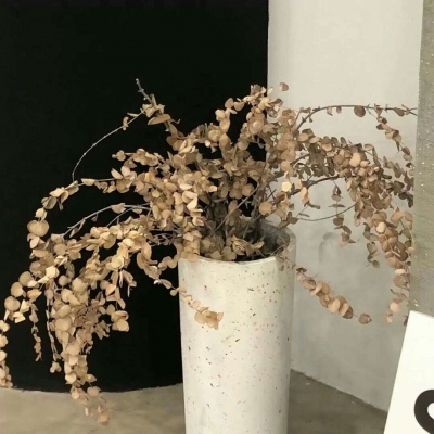 巴彦福瑞交流群